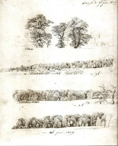 Baumstudien 1809
