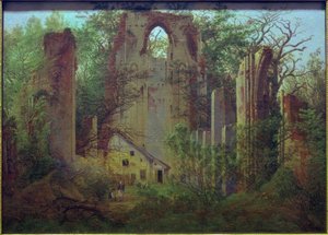 Klosterruine Eldena bei Greifswald