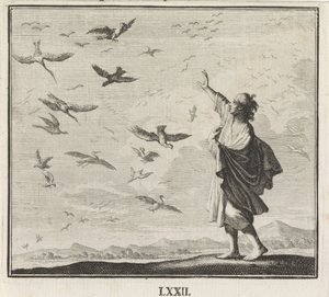 Emblem: Vögel von Caspar Luyken