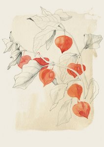 Chinesische Laterne Skizze