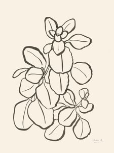 Organische Blattzeichnung