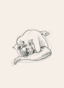 Ruhige gekrümmte Figur von Catalina Somolinos