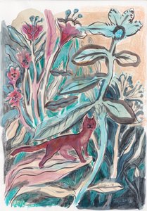 Verspielte Dschungelkatze