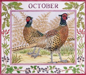 Oktober von Catherine Bradbury