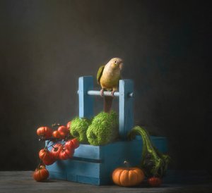 Herbstpapagei Stillleben von Catherine Wang