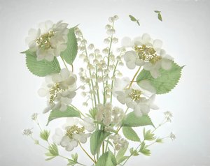 Weiße Liliental Bouquet
