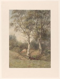 Waldlandschaft mit Kühen bei Wolfheze