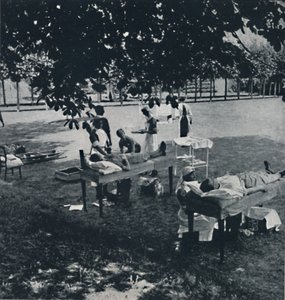 Blutspender, 1941
