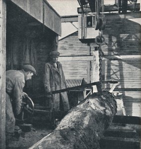 Holz sägen von Cecil Beaton