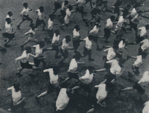Das Feld, 1941