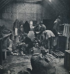 Gemüse für den Markt, 1941