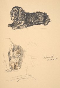 Spaniel und Chow, 1930, Illustrationen aus seinem Skizzenbuch verwendet für Just Among Friends, Aldin, Cecil Charles Windsor (1870-1935), später veröffentlicht von Eyre und Spottiswoode Limited, 1934