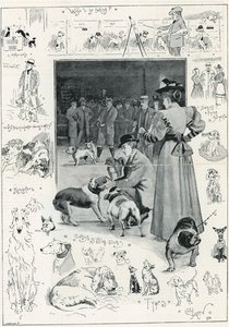 Die Ausstellung des Kennel Clubs von Hunden im Crystal Palace von Cecil Charles Windsor Aldin