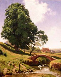 Enten unter der Brücke