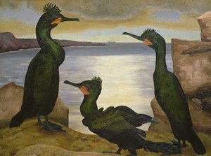 Kormorane von Cedric Morris