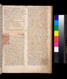 Dekorierter Buchstabe [N] in roter Tinte mit Federverzierungen in brauner Tinte