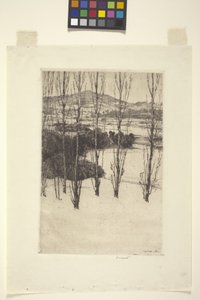 Der Berg von Charles Adams Platt