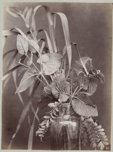 Blumenstudie mit Glasflasche von Charles Aubry (manner of)