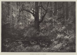 Das Herz des Waldes von Charles Auguste Loye
