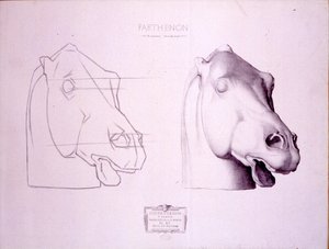 Pferdekopf vom Westgiebel des Parthenon, Tafel 47 aus Cours de Dessin, ca. 1898