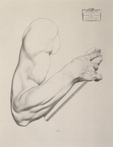 Eindruck auf grauem Papier, 1868 von Charles Bargue