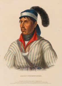 APAULY-TUSTENNUGGEE, aus Geschichte der Indianerstämme Nordamerikas von Charles Bird King