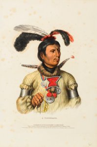 Ein Winnebago, aus der Geschichte der Indianerstämme Nordamerikas von Charles Bird King