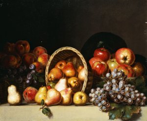 Äpfel, Birnen, Pflaumen und Trauben
