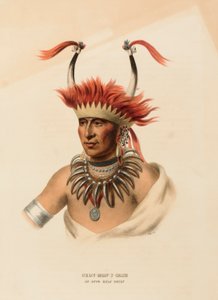 CHON-MON-I-CASE. EIN OTTO HALBHÄUPTLING, aus Geschichte der Indianerstämme Nordamerikas von Charles Bird King
