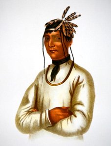Caatousee vom Chippewa-Stamm (Farblithografie) von Charles Bird King