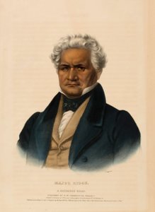 MAJOR RIDGE. Ein Cherokee-Häuptling, aus der Geschichte der Indianerstämme Nordamerikas von Charles Bird King