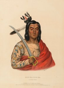 MON-KA-USH-KA. Ein Sioux-Häuptling, aus Geschichte der Indianerstämme Nordamerikas von Charles Bird King