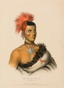 PES-KE-LE-CHA-CO, ein Pawnee-Häuptling, aus der Geschichte der Indianerstämme Nordamerikas von Charles Bird King