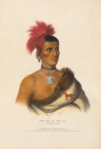 Pes-ke-le-cha-co - Ein Pawnee-Häuptling von Charles Bird King