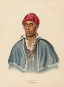 QUA-TA-WA-PLA. Ein SHAWANOE-HÄUPTLING aus der Geschichte der Indianerstämme Nordamerikas von Charles Bird King
