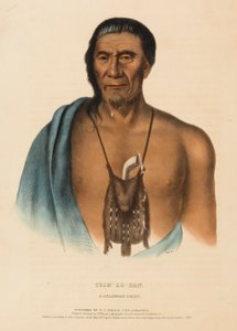 TISH-CO-HAN. EIN DELAWARE HÄUPTLING., aus Geschichte der Indianerstämme Nordamerikas von Charles Bird King