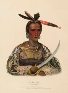 TO-KA-CON. Ein Sioux-Häuptling, aus Geschichte der Indianerstämme Nordamerikas von Charles Bird King