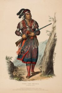 TUKO-SEE-MATHLA. Ein Seminolen-Häuptling, aus Geschichte der Indianerstämme Nordamerikas von Charles Bird King