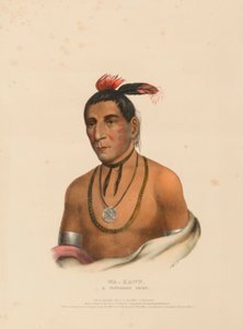 WA-KAWN, EIN WINNEBAGO-HÄUPTLING, aus der Geschichte der Indianerstämme Nordamerikas von Charles Bird King