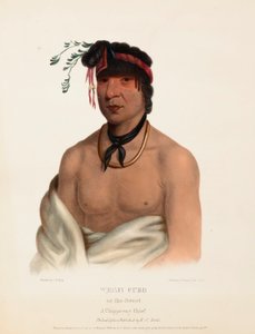WESH-CUBB. Ein Chippewa-Häuptling, aus Geschichte der Indianerstämme Nordamerikas von Charles Bird King