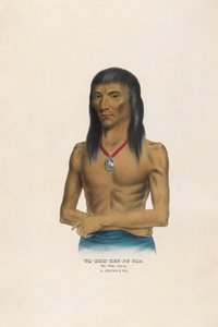 Wa-bish-kee-pe-nas - Die weiße Taube von Charles Bird King