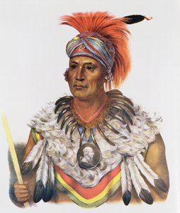 Wapella oder der Prinzenhäuptling der Füchse, 1837, Illustration aus 