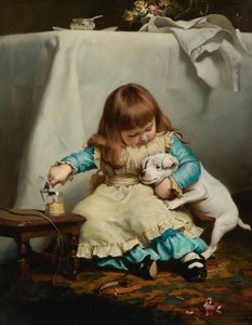 Einmal gebissen, zweimal schüchtern, 1885
