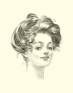 Illustration für Die Gesellschaftsleiter von Charles Dana Gibson