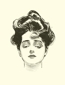 Illustration für Die soziale Leiter von Charles Dana Gibson