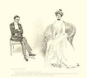 Illustration für Die soziale Leiter von Charles Dana Gibson