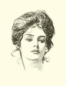Illustration für Die soziale Leiter von Charles Dana Gibson