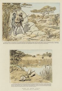 Sport in Südafrika