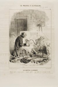 Ein Tierkrankenhaus (Tafel 20)