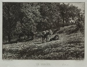 Ein Obstgarten